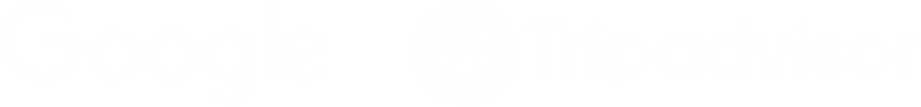 Google & TripAdvisor